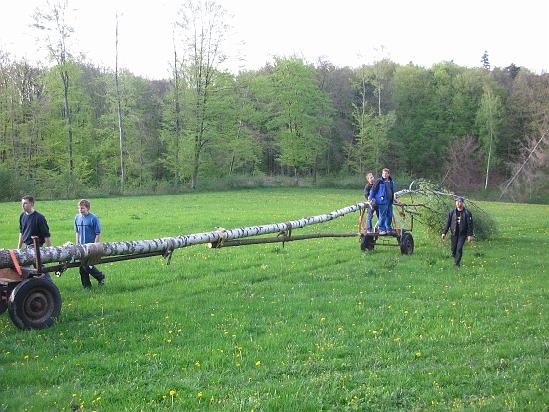 Maibaum 68.jpg